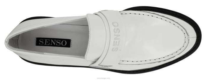 4P28515 Senso herfst/winter 21 met ijs