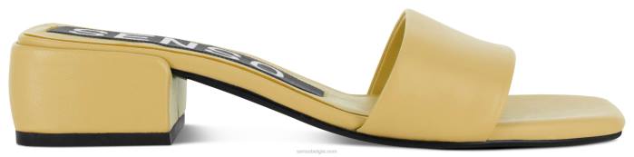 4P28152 Senso lente/zomer 21 valli boterbloem