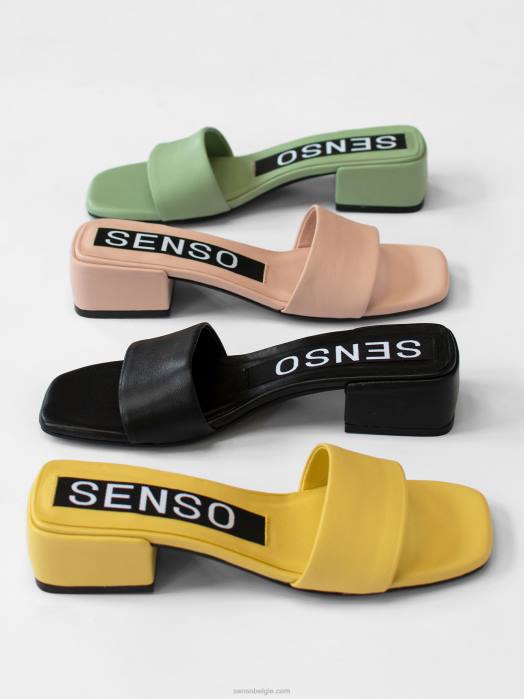 4P28154 Senso lente/zomer 21 valli ebbenhout