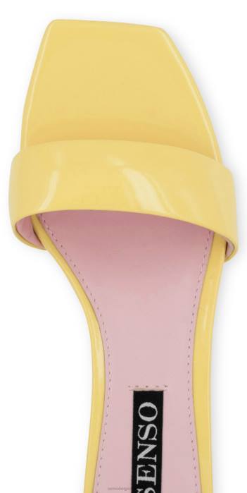 4P28157 Senso hakken trina en boterbloem