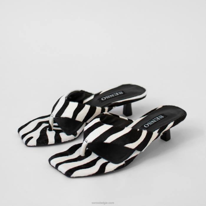 4P28159 Senso hakken tash ii zebra