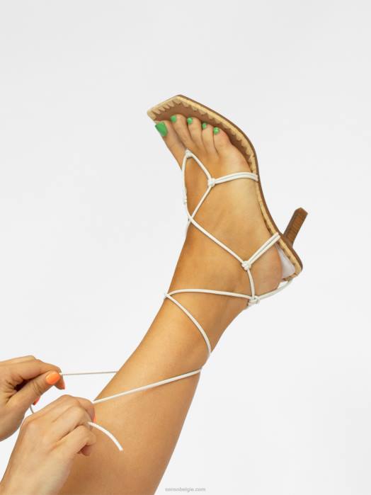 4P28235 Senso lente/zomer 21 maya ijs