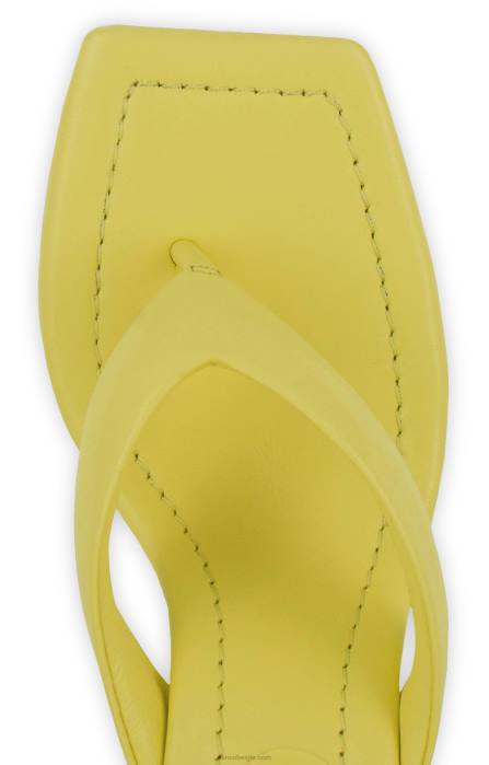 4P28284 Senso hakken vale citrien