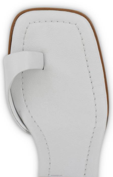 4P28288 Senso hakken chrissy ijs