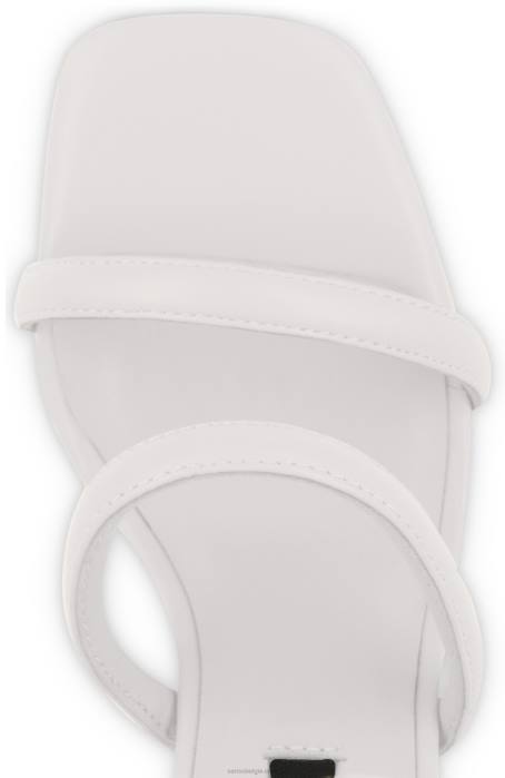 4P28322 Senso handtekeningen robbie ix ice