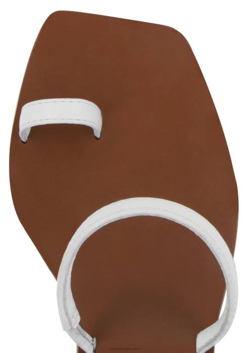 4P28335 Senso hakken yabba i ice