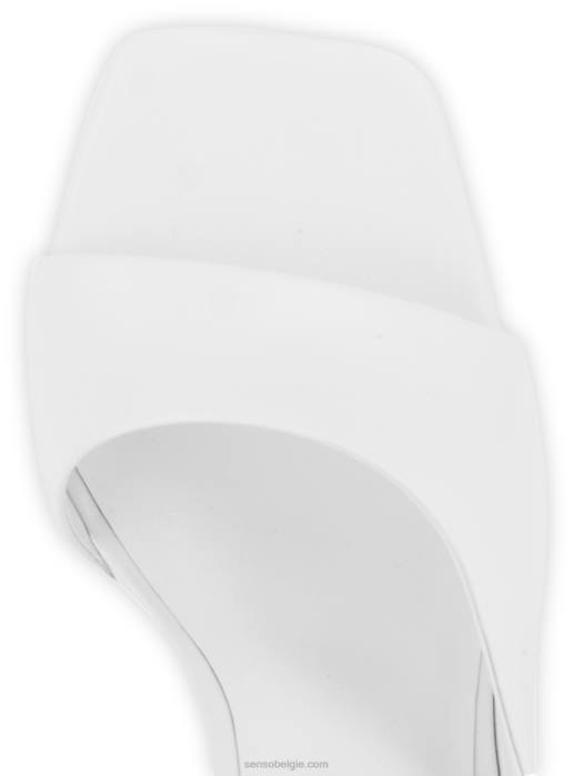 4P28346 Senso handtekeningen wilhemina i ice