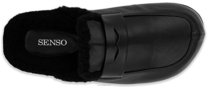 4P28366 Senso muilezels ziggi ebbenhout