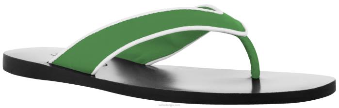 4P28406 Senso lente/zomer 20 bowie iii appel