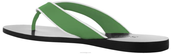 4P28406 Senso lente/zomer 20 bowie iii appel