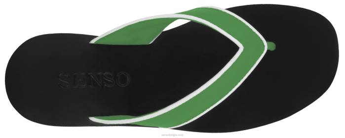 4P28406 Senso lente/zomer 20 bowie iii appel