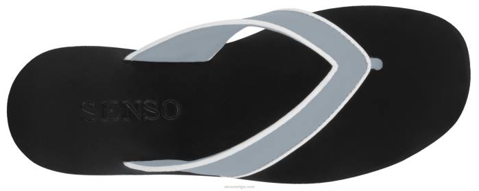 4P28408 Senso lente/zomer 20 bowie iii sky