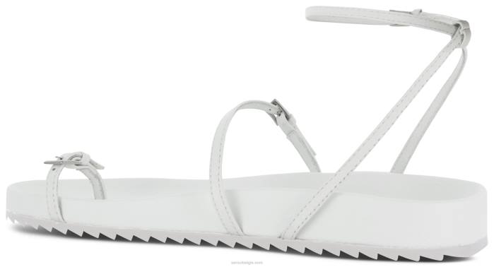 4P28467 Senso lente/zomer 21 domino-ijs