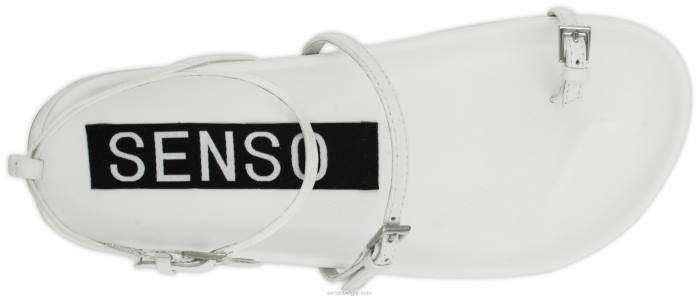 4P28467 Senso lente/zomer 21 domino-ijs