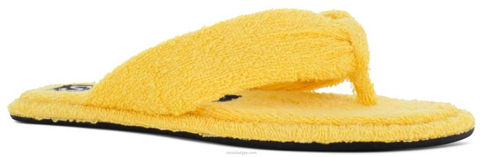 4P28566 Senso lente/zomer 21 izzy narcis