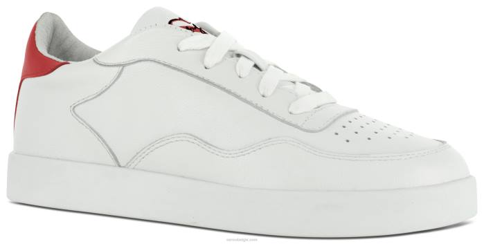 4P28531 Senso mannen alfy kers