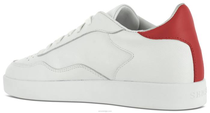 4P28531 Senso mannen alfy kers