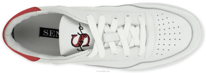 4P28531 Senso mannen alfy kers