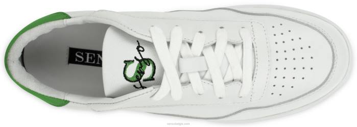 4P28532 Senso mannen alfy appel